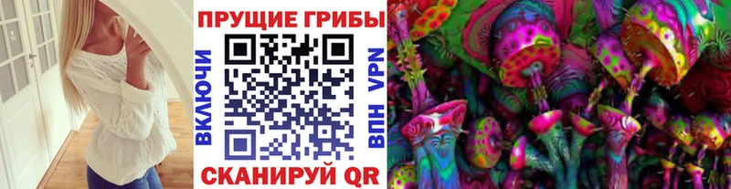 Псилоцибиновые грибы Psilocybe  Купить закладки  Урень 