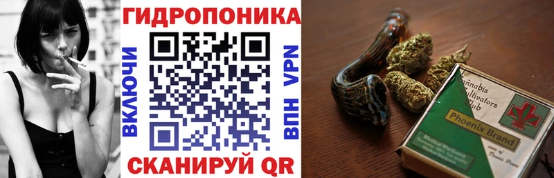 Купить  Урень  Конопля сатива 